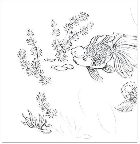 吉祥白描《金玉满堂》绘制步骤_水草_金鱼_国画