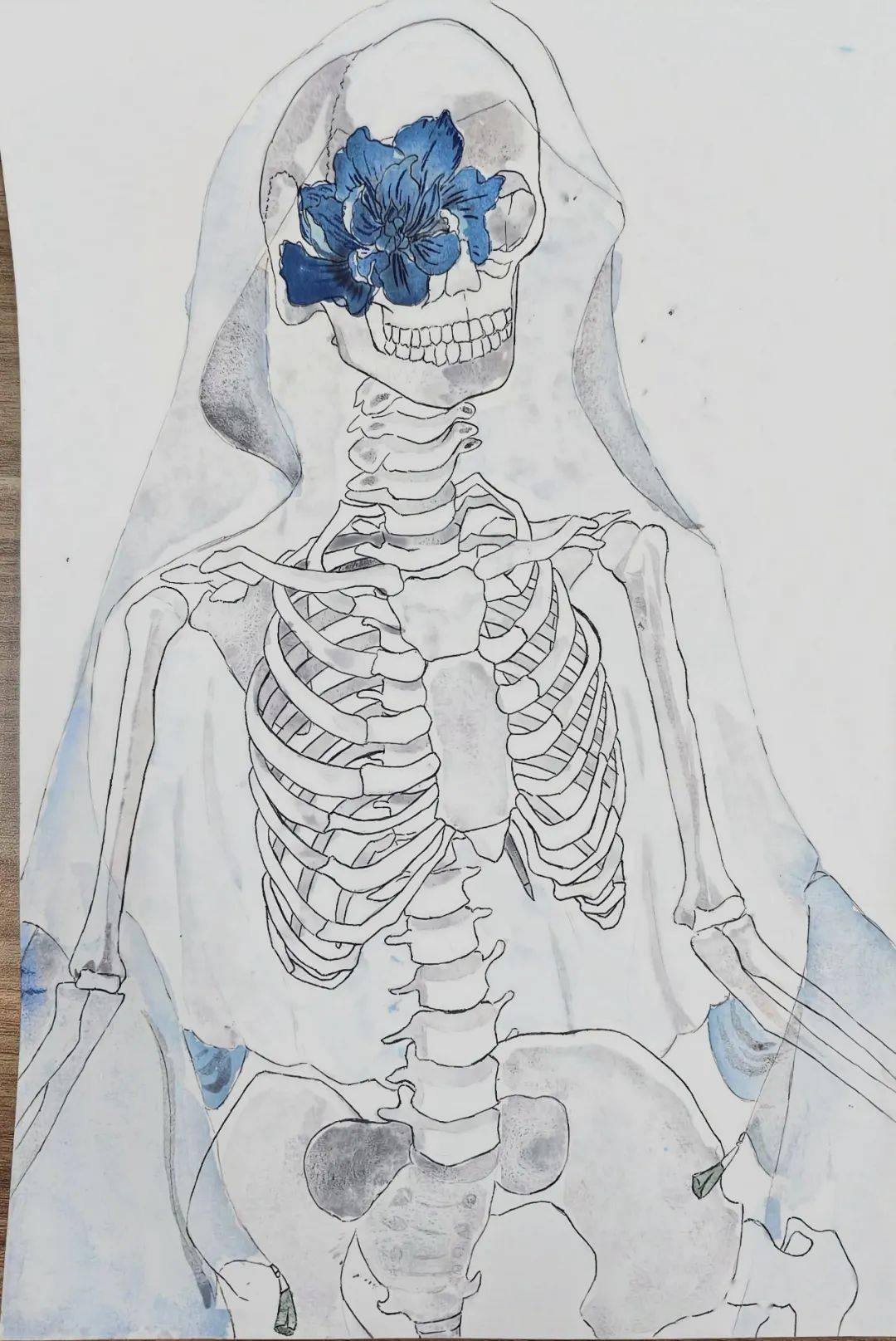 人体解剖绘图创意图片