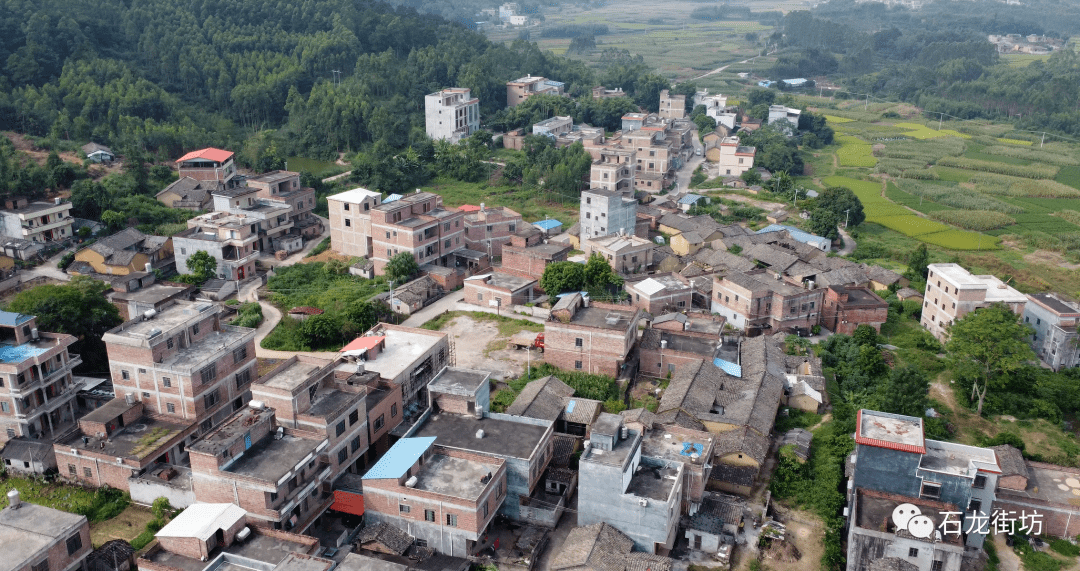 了解我们的家乡:石龙镇安旺村简介_驻地_壮文_故名