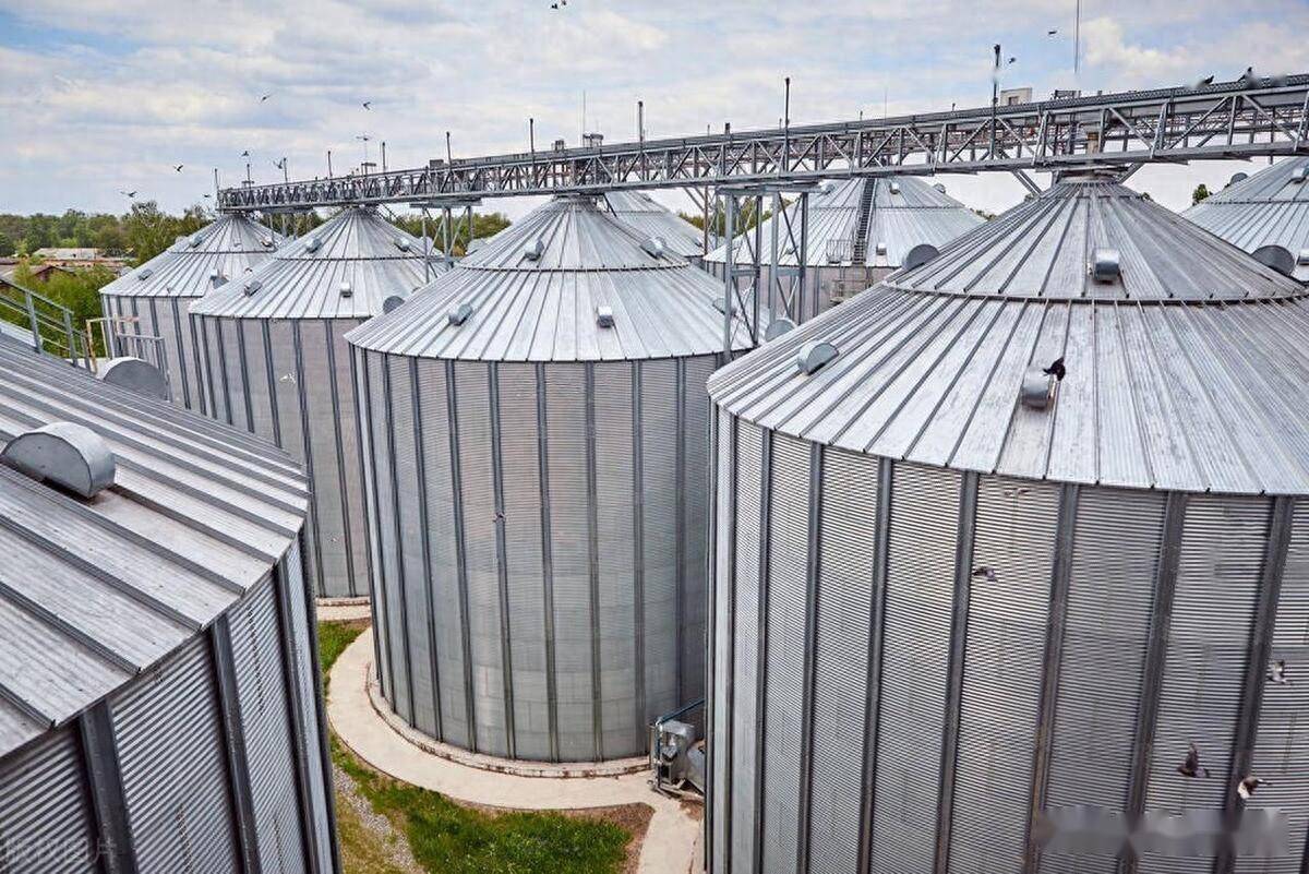 那些年我们的粮食系列之三:2013年中储粮林甸_粮库_我国_大火