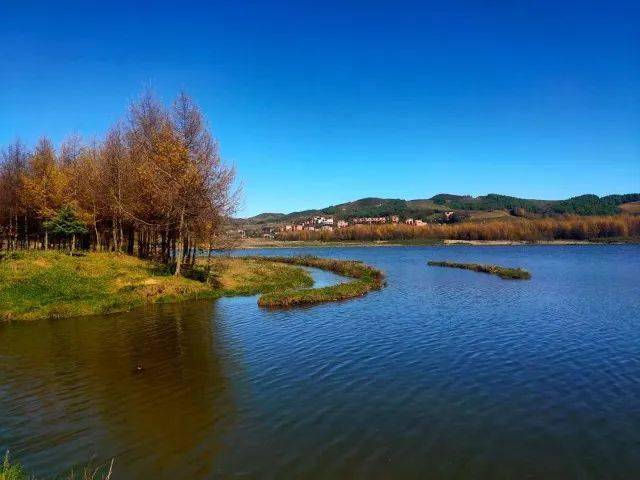 昭通永善:永安湿地之秋_生活_信息_来源