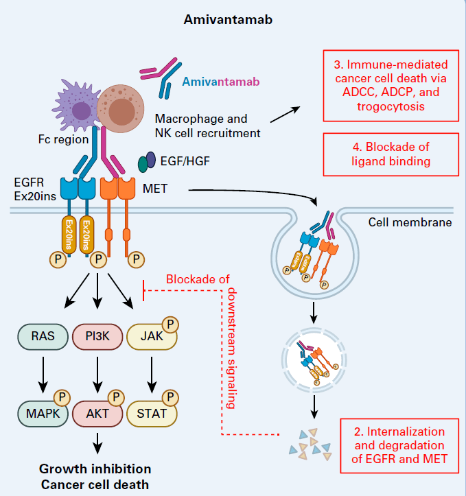 一边被撤,一边冲向一线_ex_ins_治疗