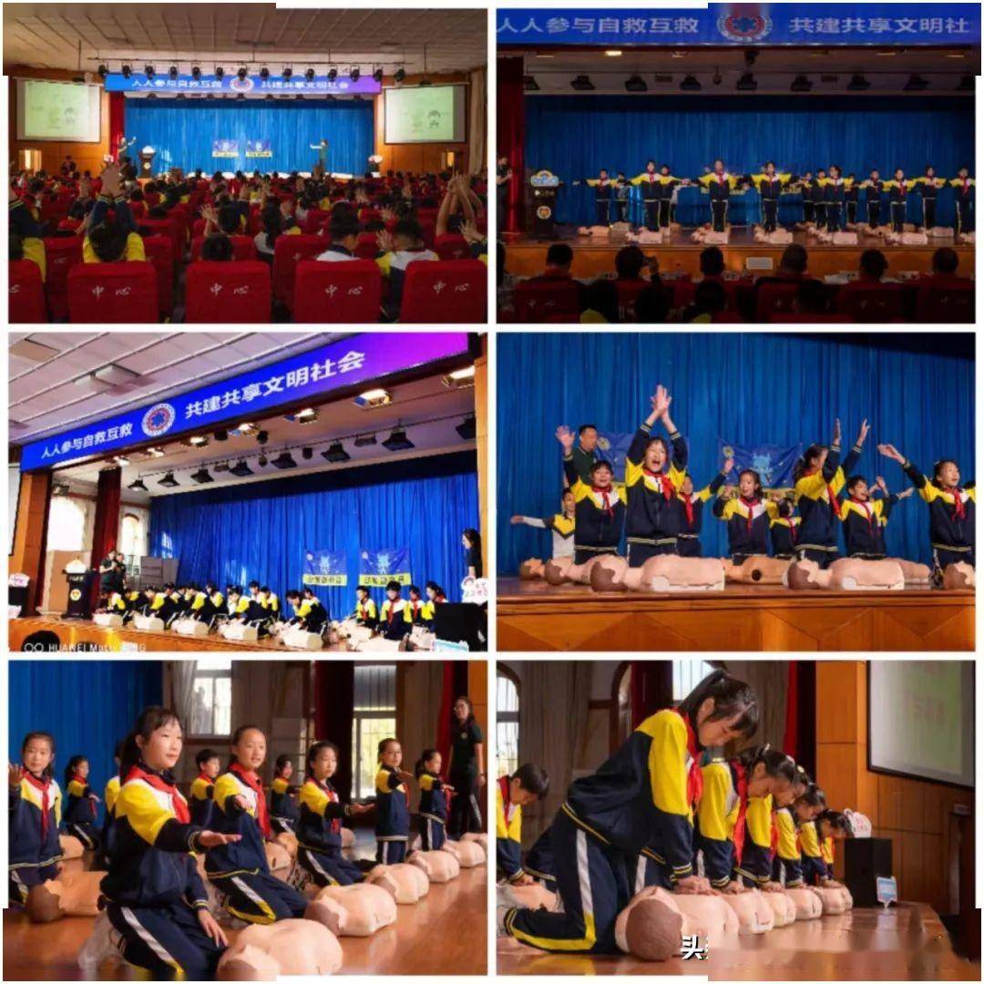 大连市少年急救官再创新高!_全国_分团_沙河口区