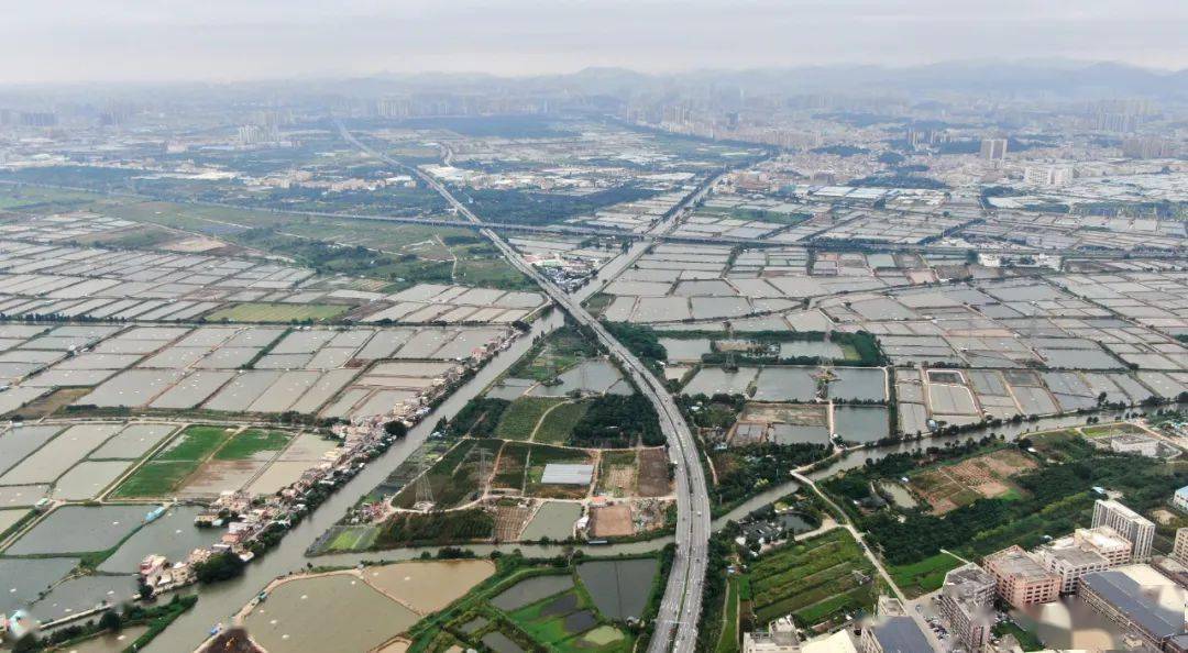 百千万工程(54)|融合发展,横栏如何打造"通衢"之城?_花木_建设_中山市