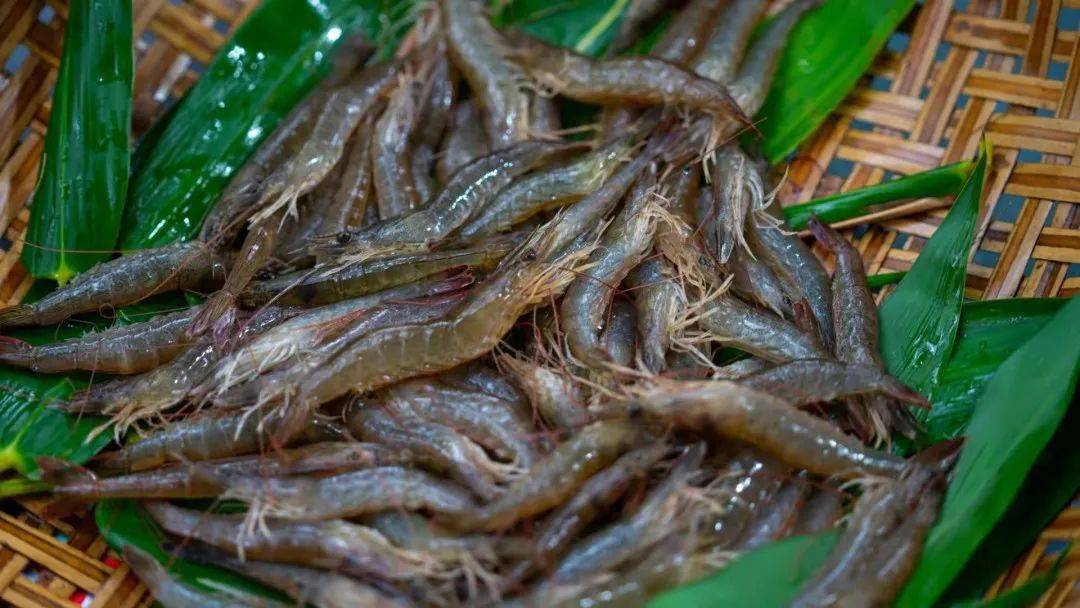 南沙最高分通过国家级水产健康养殖和生态养殖示范区