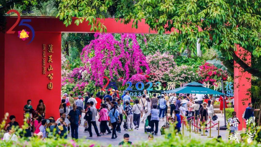 太美了，走不动，根本走不动，深圳簕杜鹃花展吸引93万游客