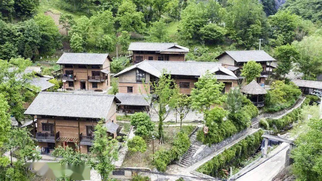 城口县东安镇:巴山原乡的农文旅融合之路_旅游_发展_森林