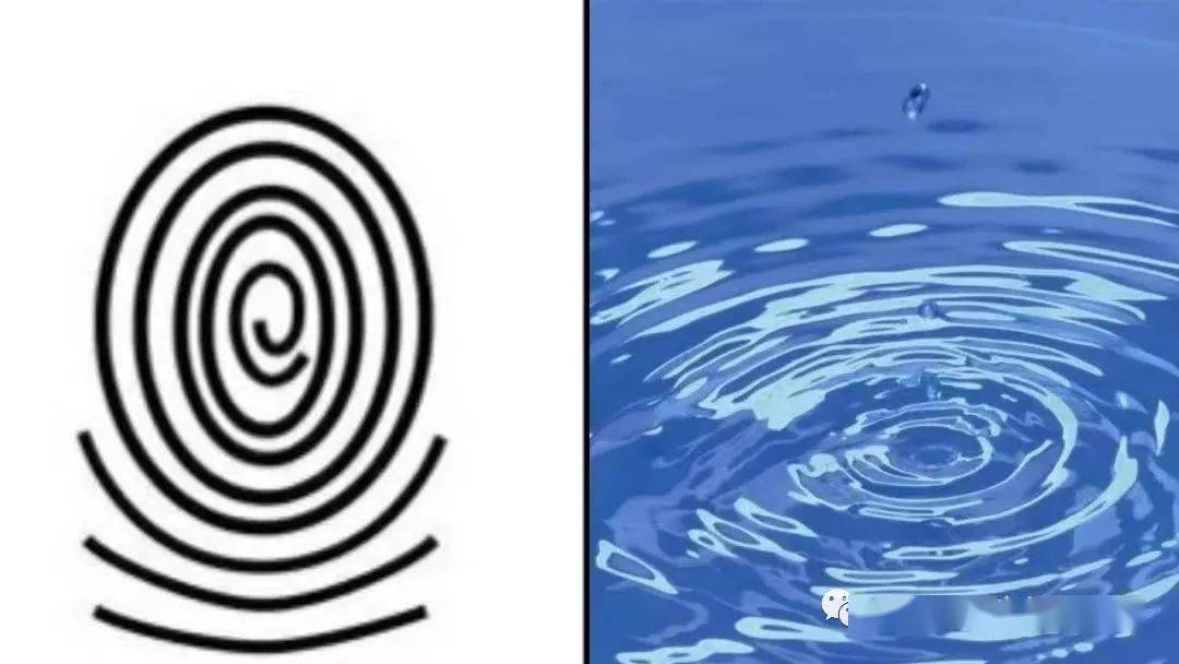 【都市华城园】奇妙的指纹_手指_幼儿_保护