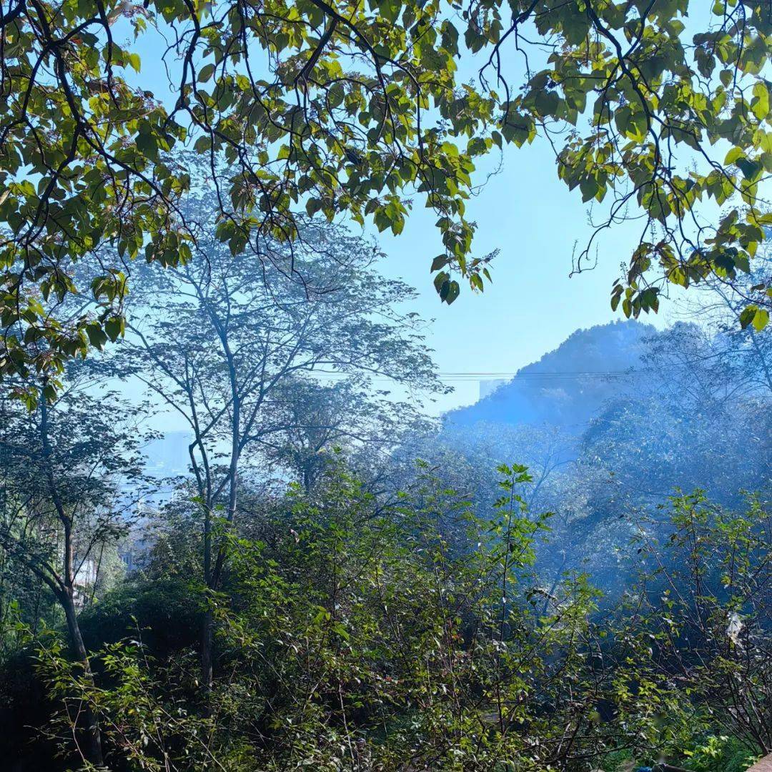 【历史文化】南充西山牌坊湾巴蜀古道遗迹‖李万斌_陈寿_崖壁_川北