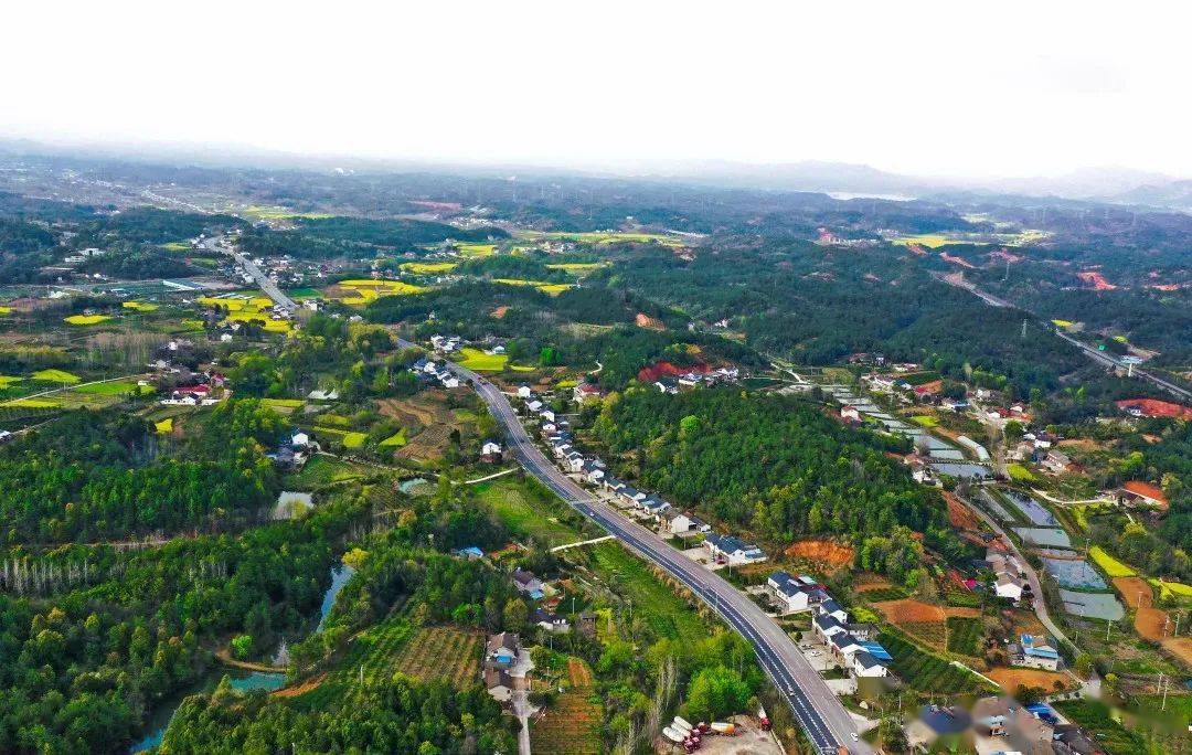 当阳这个村,全国示范!_三桥村_村民_建设