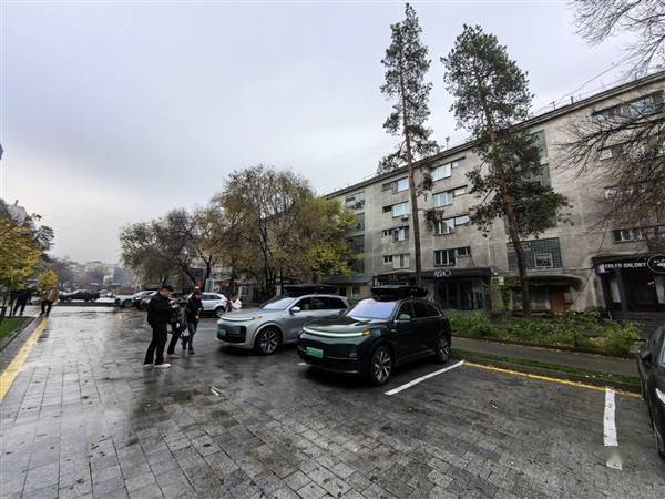 哈萨克斯坦遍地理想汽车 博主：密度比很多中国城市都高(图1)