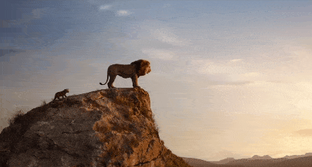 雄狮站在山顶的照片图片
