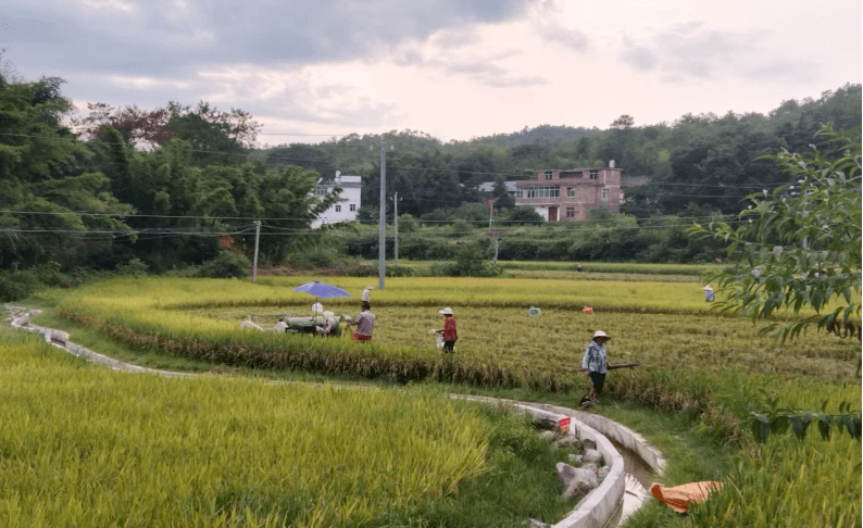 赣县区湖江镇夏浒村 以农促旅,以旅兴农_发展_村民_乡村