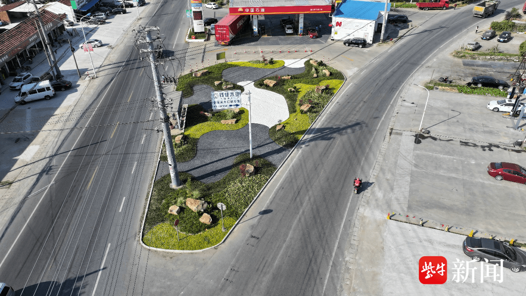 s336道路绿化提升后经过8个部门的通力合作,如今平潮镇的多条主干道路