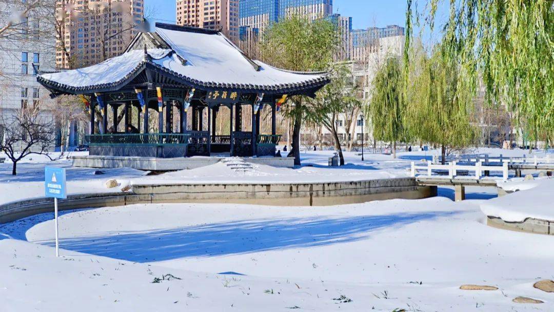 东北农业大学雪景图片