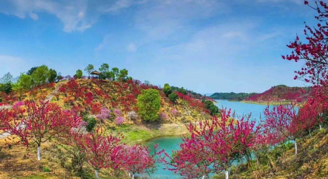 有桃花島,金猴島,孔雀島等,湖水清澈,風光秀麗,如果春天來,可以去桃花