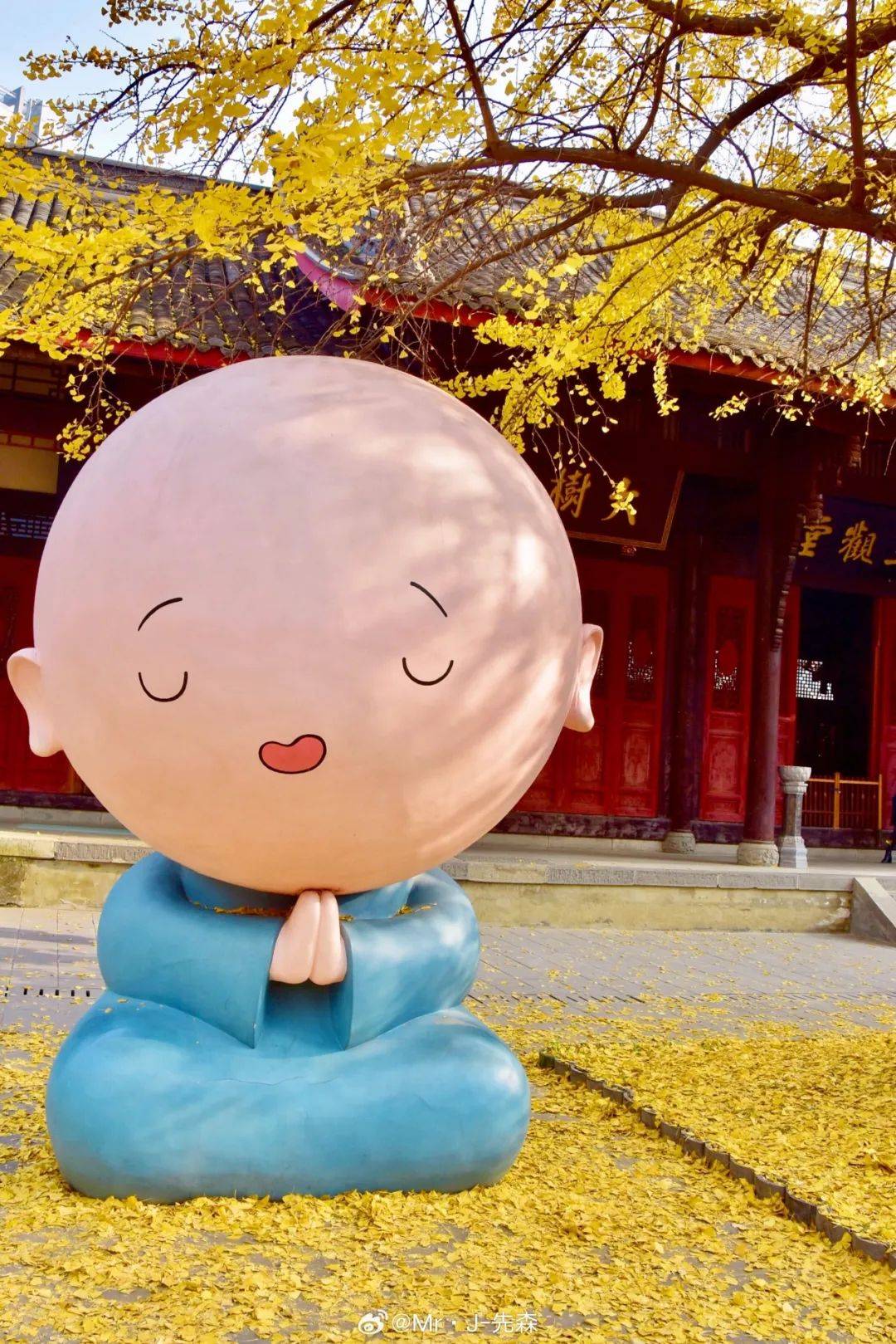 还有树下的小和尚尤其可爱树叶随风飘落,满地金黄银杏树会披上金色"盛