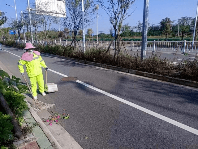 落叶纷飞满地黄 环卫工人清扫忙