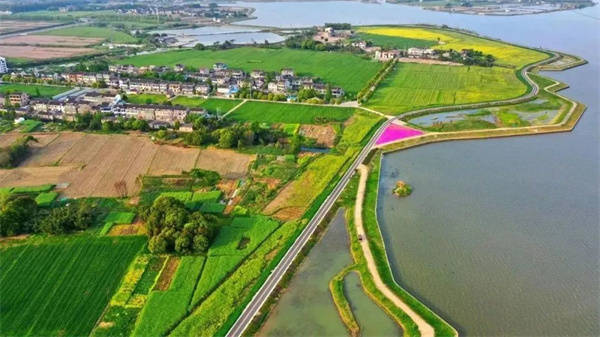 无锡锡山区鹅湖镇:"美丽河湖 "绘就和美乡村新画卷