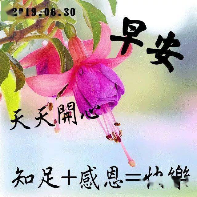 新版特唯美的早上好表情动图 2023新版清晨群发早安图片祝福句子_生活