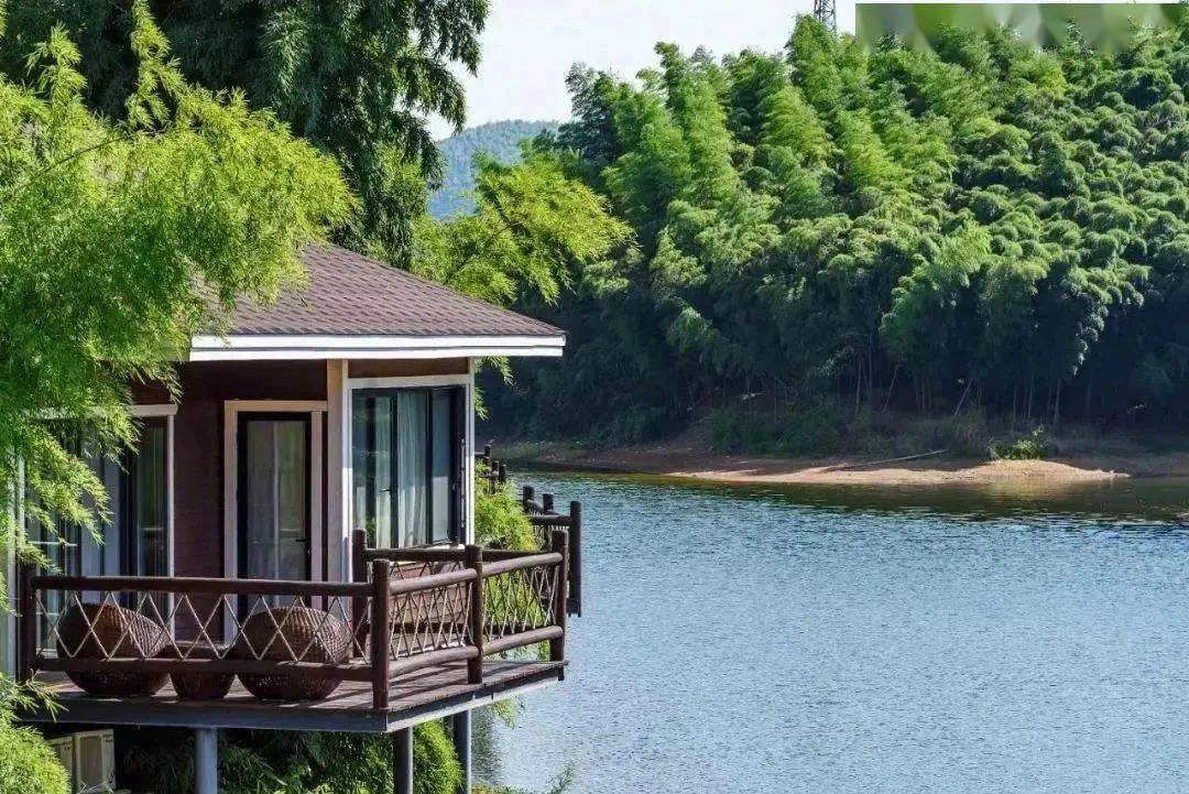 浙韵千宿 | 吴兴民宿,隐于山间的理想生活_温度_山林_自然