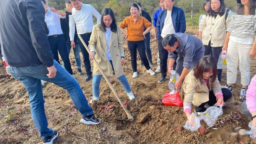 万名职工欢乐行 | 到罗田来一场慢时光之旅_活动_农业_胜利镇