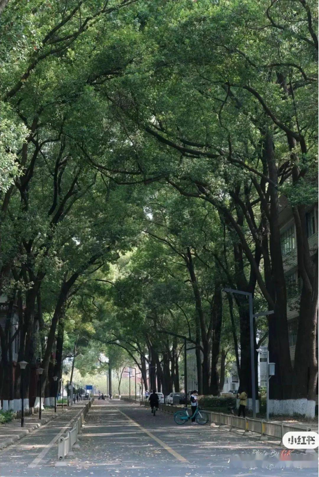 盤點中國最美的10所大學,美得像童話_建築_美術_校園