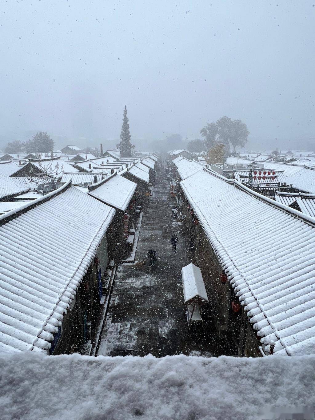 乡村田野一片苍茫,大雪中,于女士摄烟台迎来大范围降雪