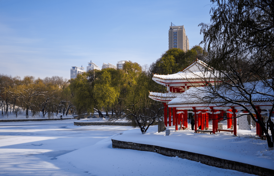 一场雪后,佳木斯的文艺腔调_摄影_张秀英_重楼