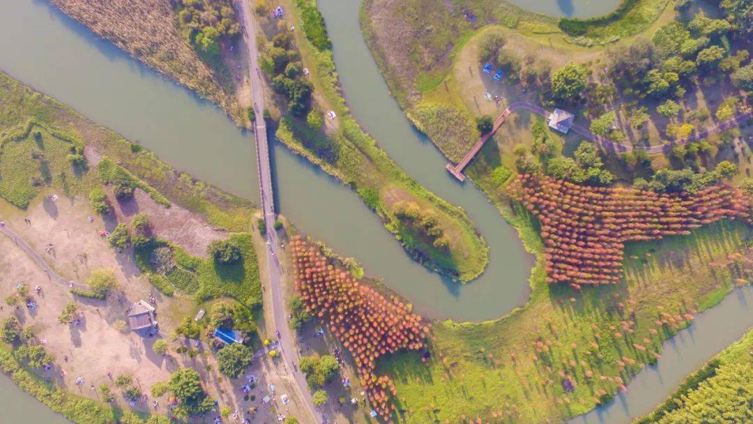 东莞人心目中的"十大生态公园"_湿地_城市_park