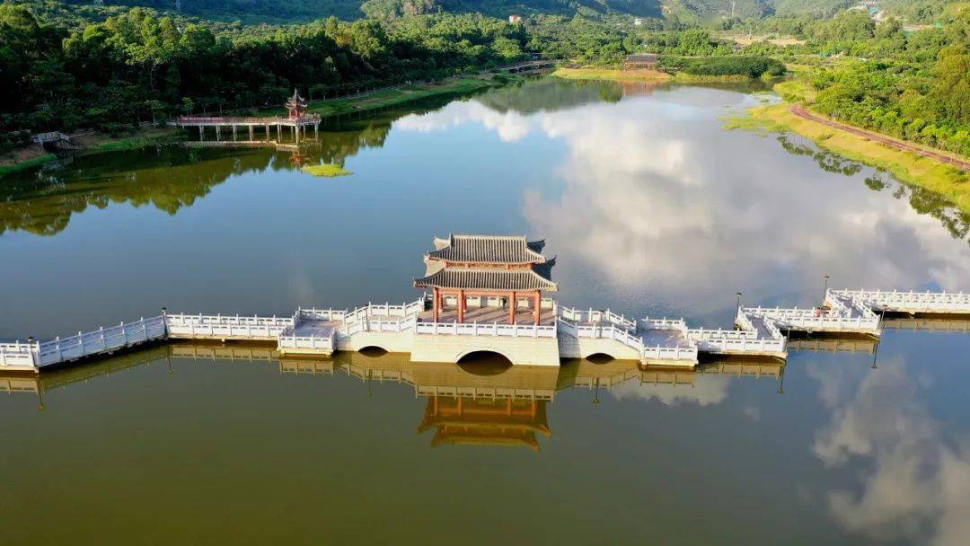 东莞人心目中的"十大生态公园"_湿地_城市_park
