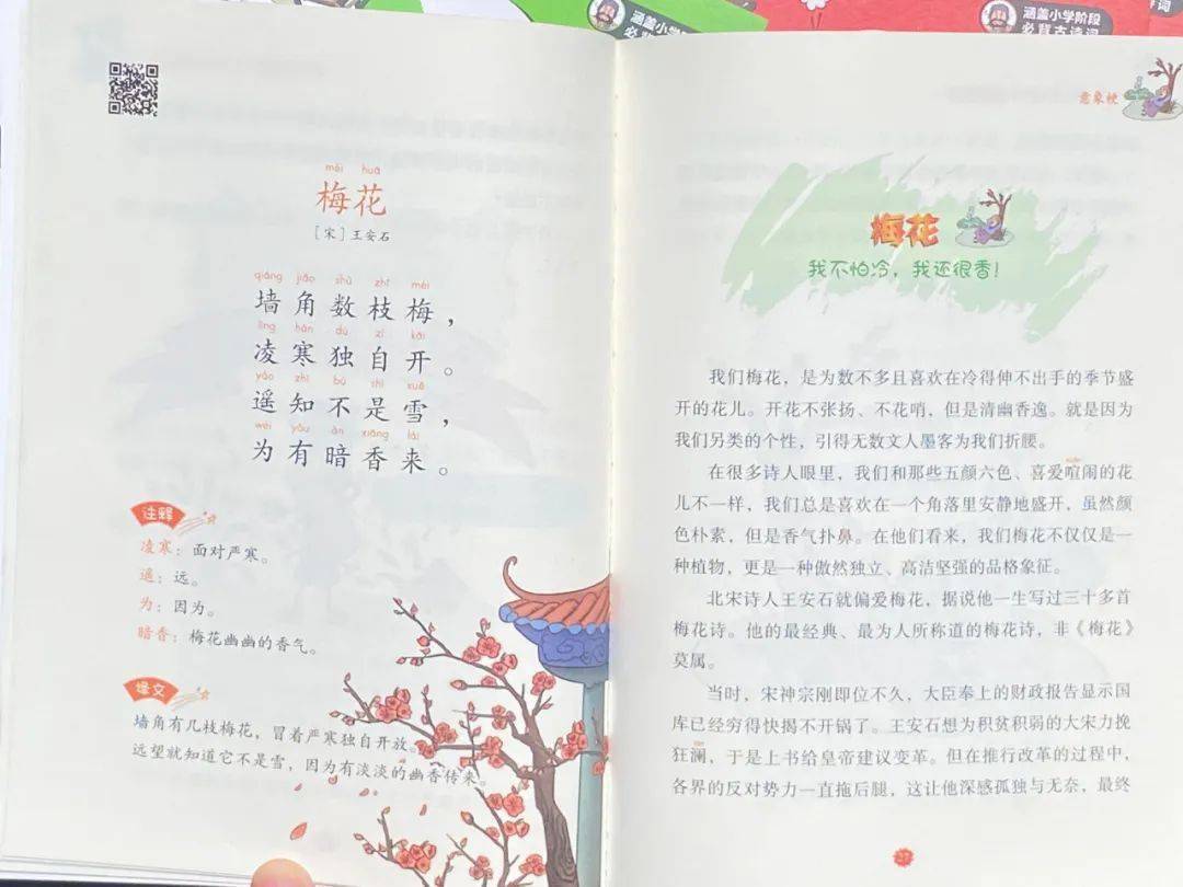 在這裡,我們以王安石的《梅花》為例:它的註釋精簡,譯文沒有逐字逐句