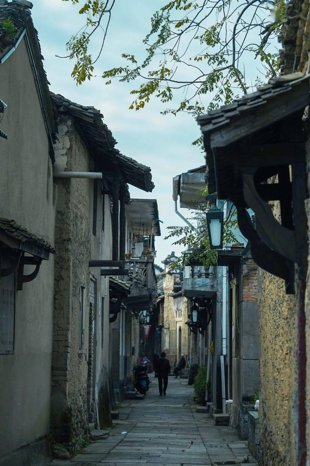 冬游丽水:千年古镇之松阳古市