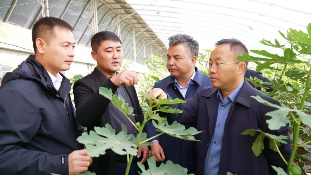 阿图什市召开就业工作现场观摩会_群众_创业_李新斌