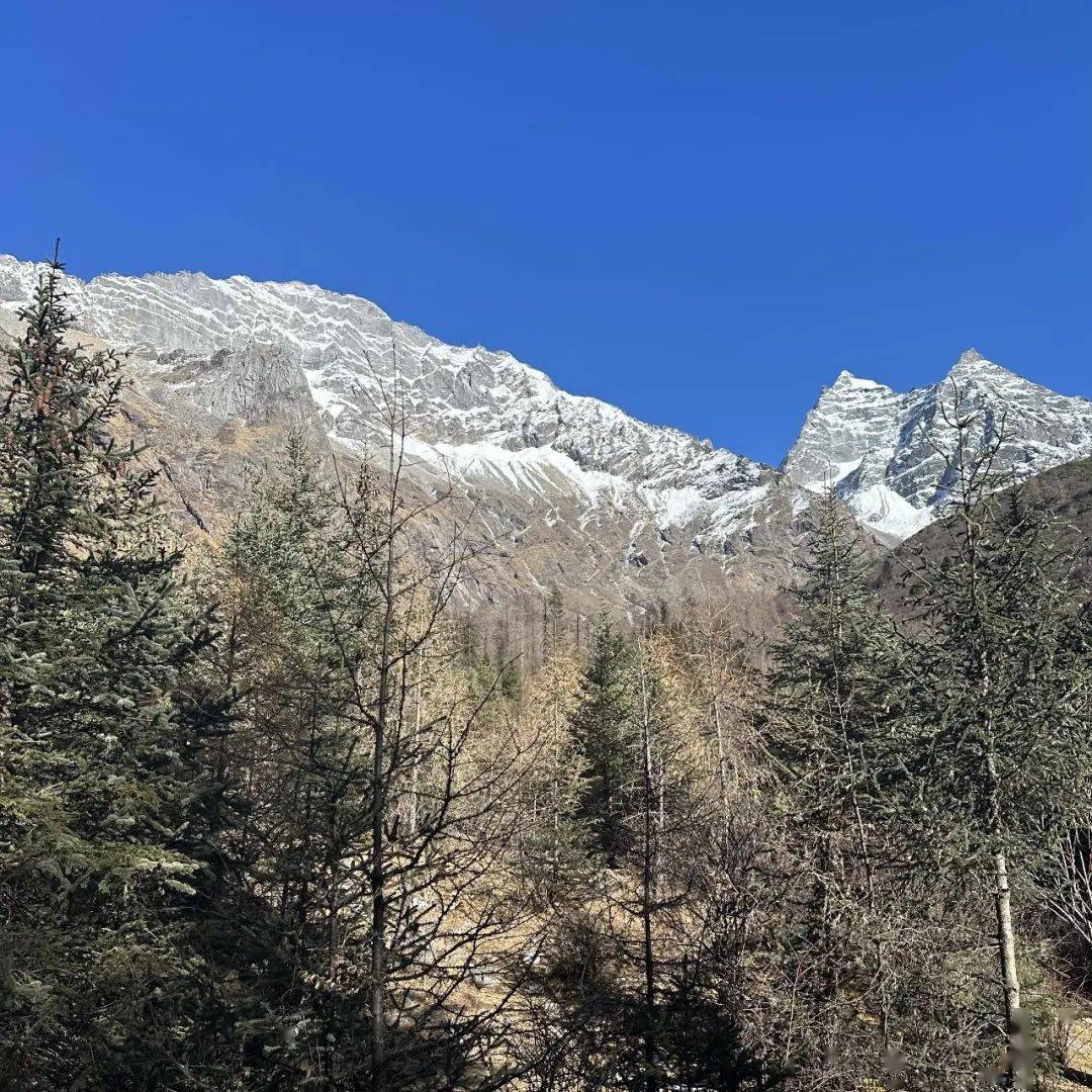 海子沟3700米海拔处的朝山坪除了喇嘛寺在当地人心中有着不可替代的