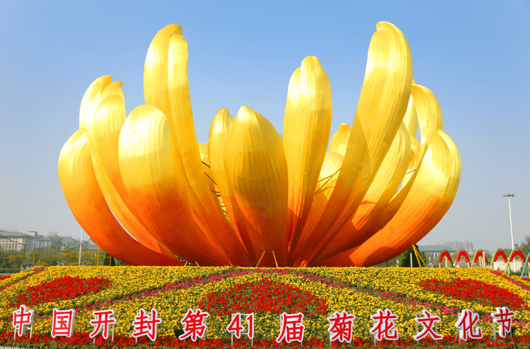 菊开新时代 花香满开封——中国开封第41届菊花文化节综述_活动_城乡