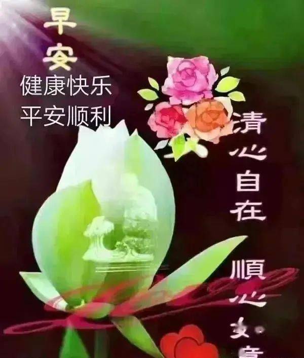 早上好图片早安问候祝福语温馨短早安吉祥