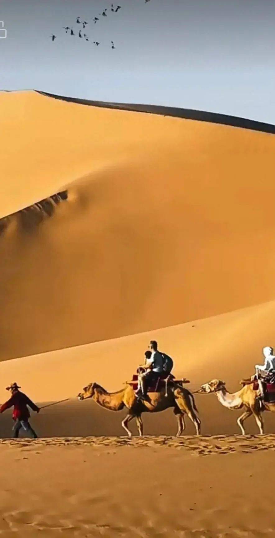 神飞笑说千年事,岁月轮回万载长.忽忆匈奴凭塞险,犹驰胡地叹苍凉.