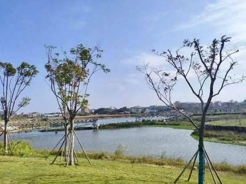 惠安东湖公园美景初现_建设_城市_功能