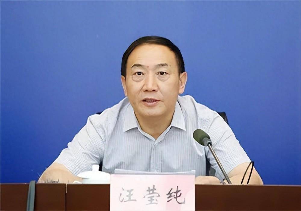 汪莹纯,被双开_安徽省纪委_严重_违法