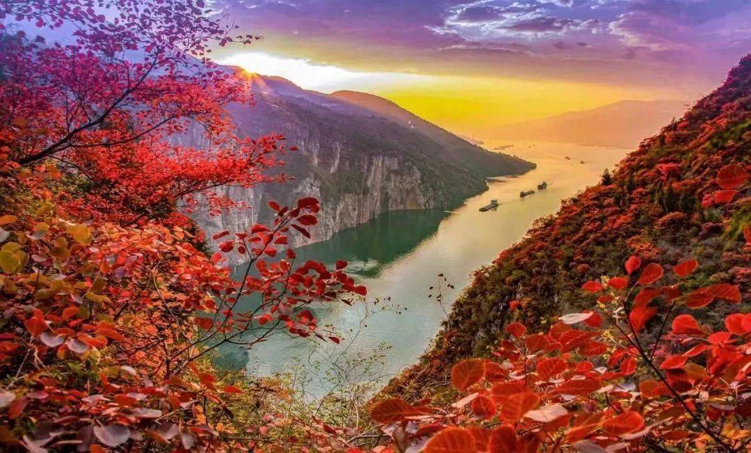 让人流连忘返高峡平湖与巫山红叶相映成趣图:巫山县生态环境局犹如画