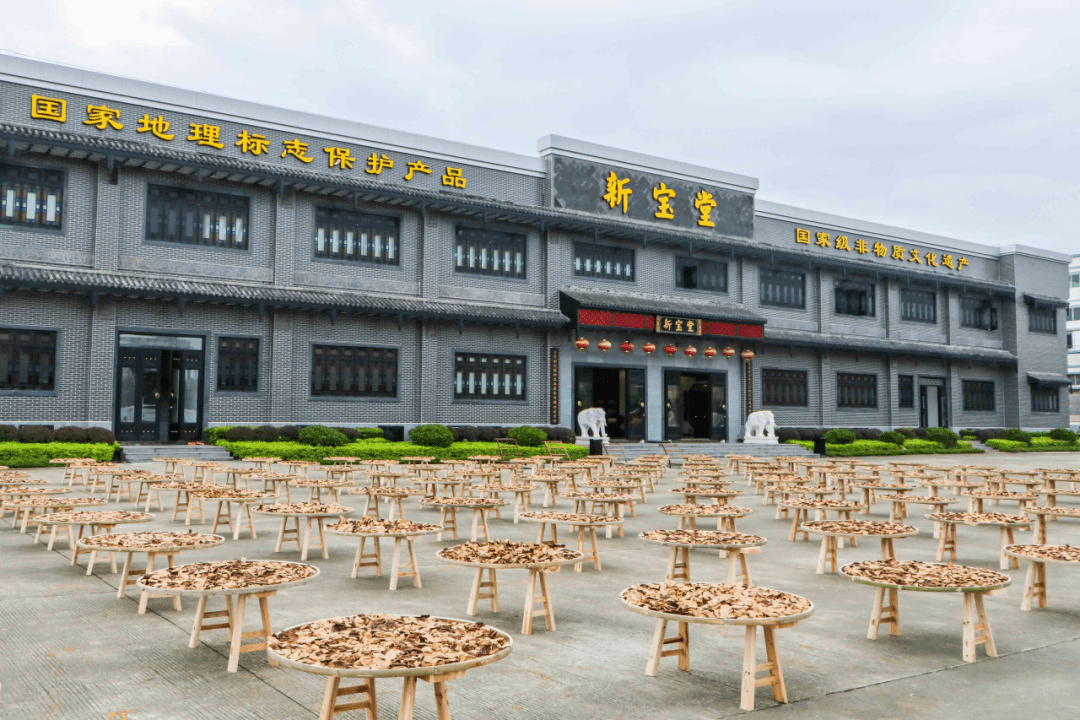 人民日报:新会陈皮推"陈"出新,擦亮百年传承陈皮老字号金字招牌
