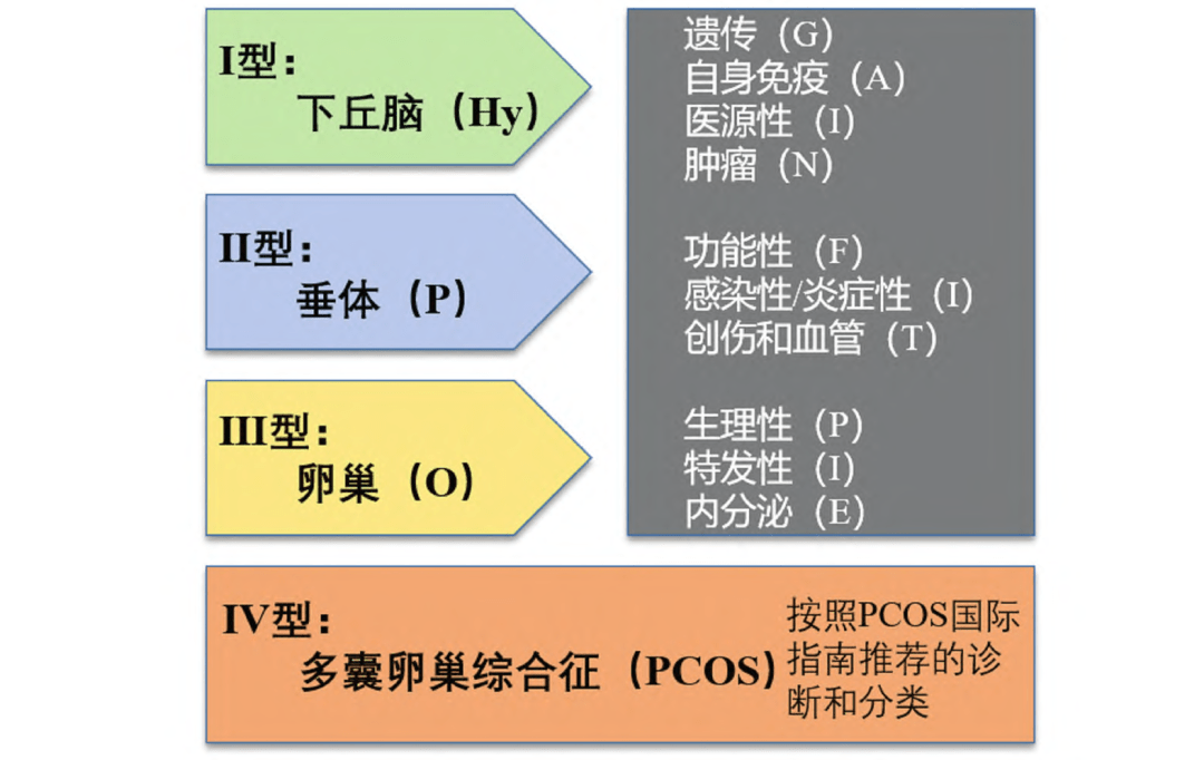 好醫生好技術|婦科專家何小紅:排卵障礙性不孕症,如何自我管理_女性