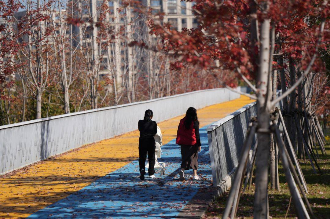 赏景游玩,普陀市民文明旅游蔚然成风_绿色_云岭公园_垃圾