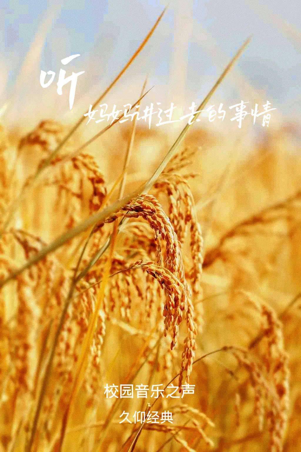 歌曲听妈妈讲那过去的事情(歌曲听妈妈讲那过去的事情属于哪类题材的歌曲)