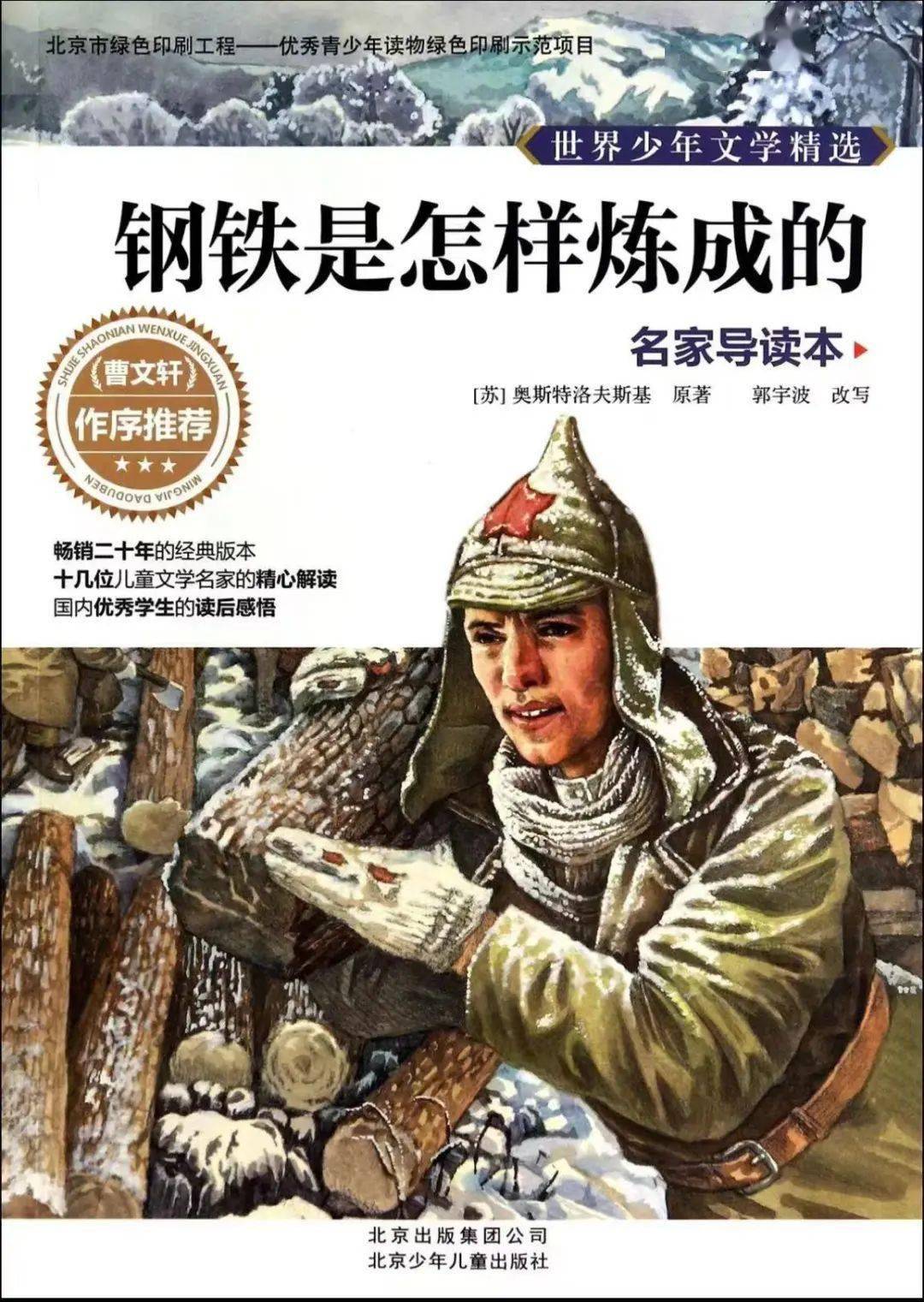 書名:《鋼鐵是怎樣煉成的》作者:尼古拉·奧斯特洛夫斯基《鋼鐵是怎樣