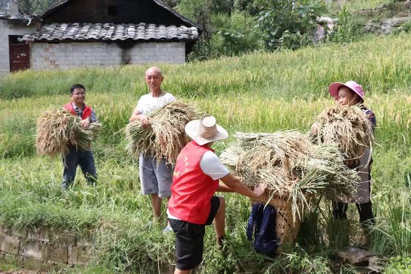 纳雍县昆寨乡图片