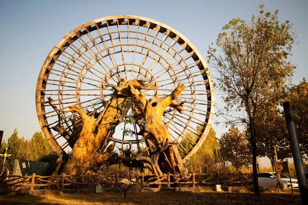 国槐逾千年保定竞秀区的大激店村藏在古镇里的「美拉德」「美拉德」原