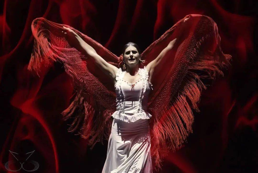 西班牙马德里弗拉明戈舞剧团《卡门》,惊艳世界的经典舞步