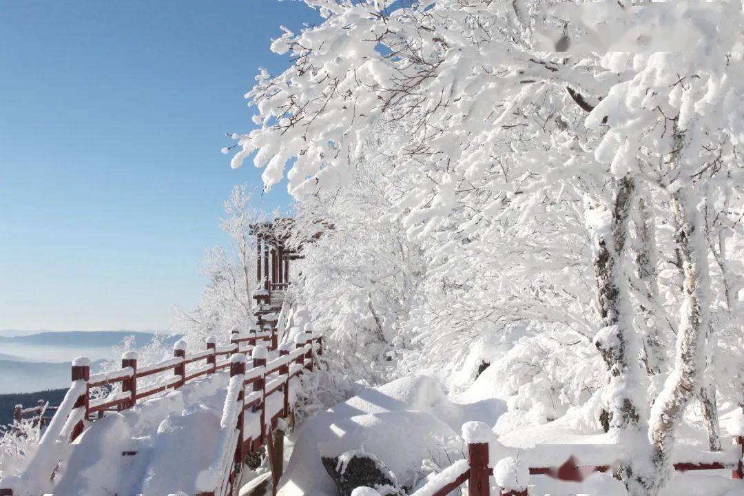大箐山的冬有多美?看过来,一波美图奉上!